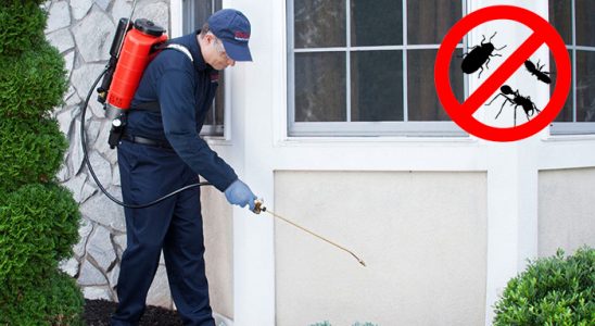 Akçadağ Hamam Böceği İlaçlama böcek ilaçlama ve haşere kontrolü — ilaclama-tr.com